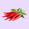 Chili Extrakt (10:1) – 20 mg