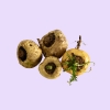 Maca-Extrakt (10:1) – 400 mg
