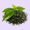 Grüner Tee Extrakt (15:1) – 150 mg