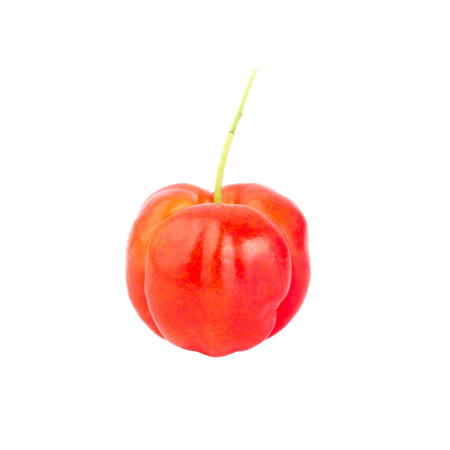 Bio-Acerola – 80 mg (Vitamin C 13,6 mg)
