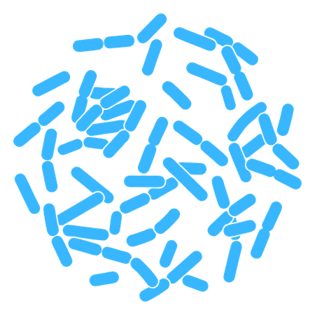 IH10 Lebende Kultur Mischung – 100 mg (10 Milliarden KBE)